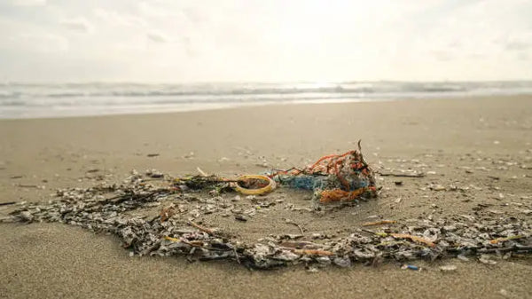 What you need to know about microplastics
