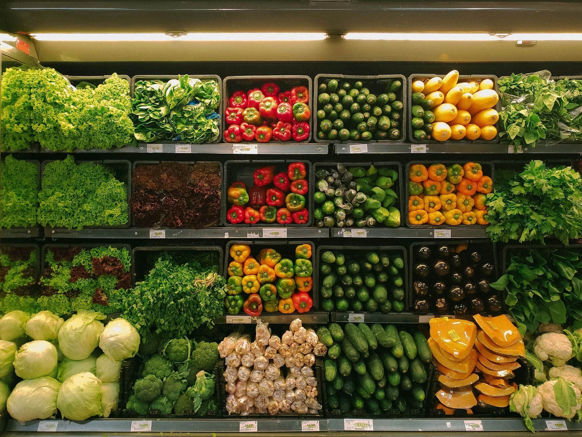 Grocery shopping with sustainability in mind