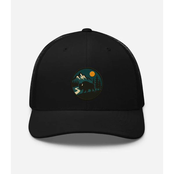 Bison