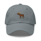 Casquette élan