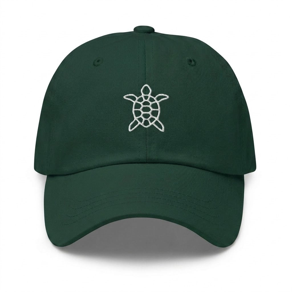 Turtle Hat