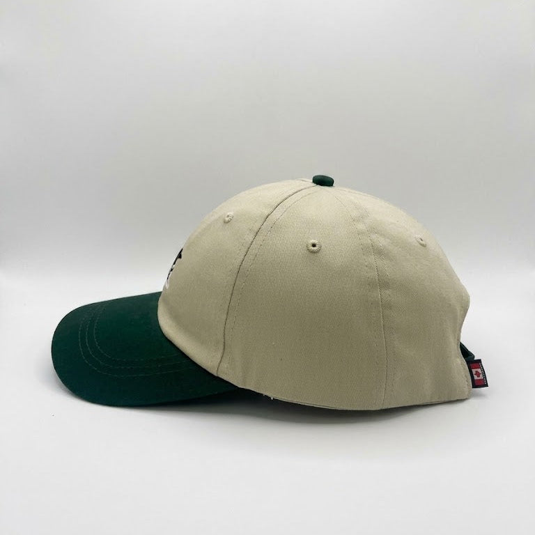 Loon Dad Hat